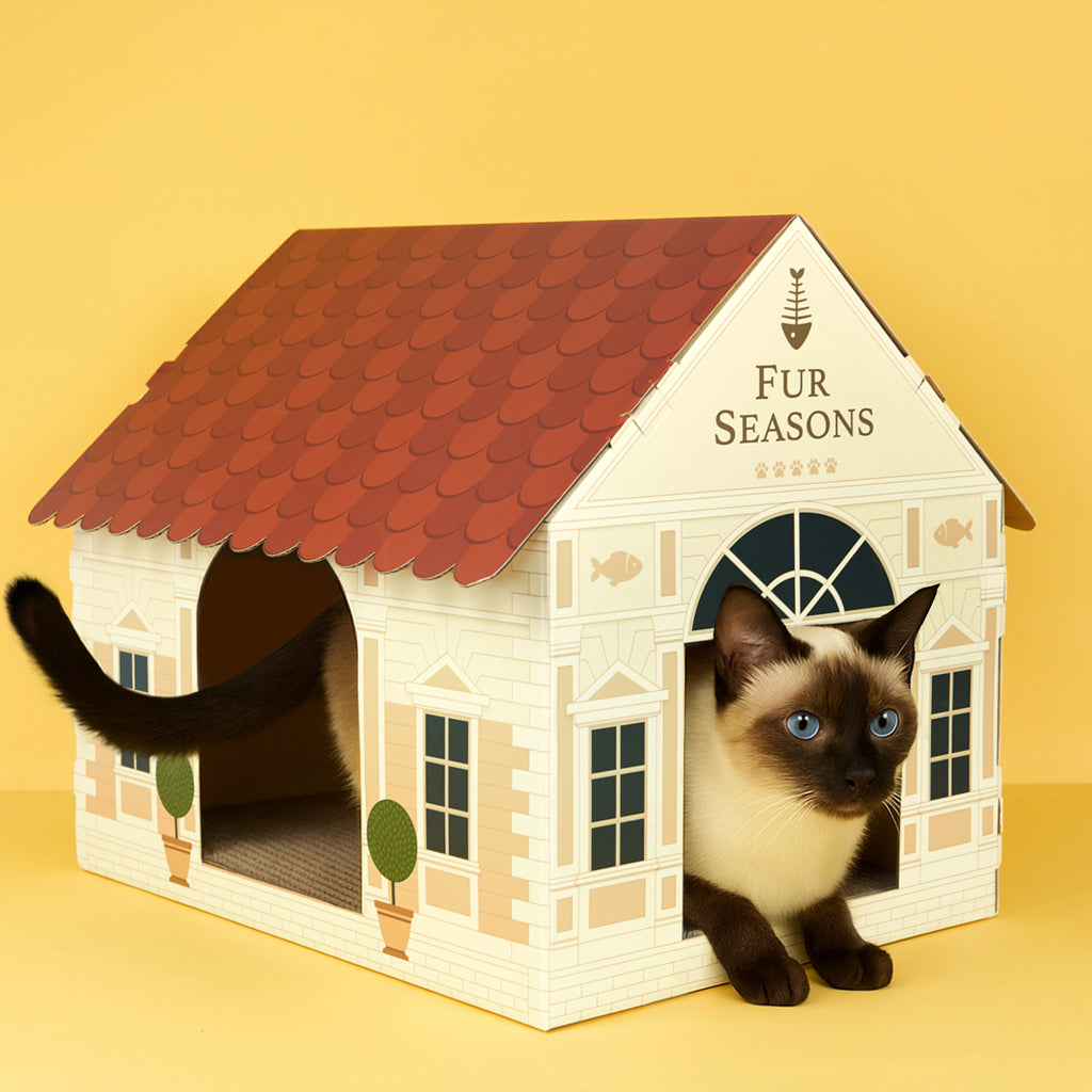 Katzenhaus & Kratzbaum Fur Seasons