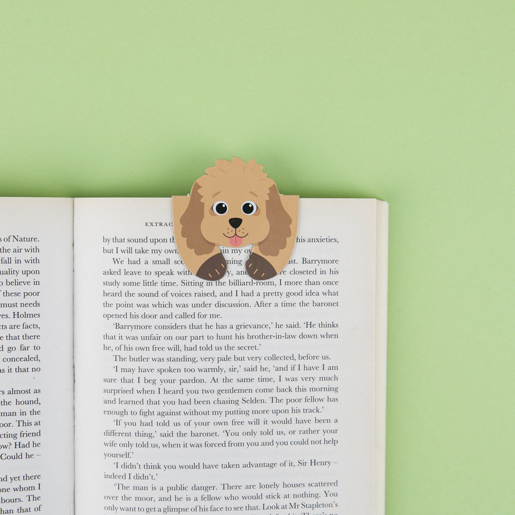 Champagne Magnetic Bookmark