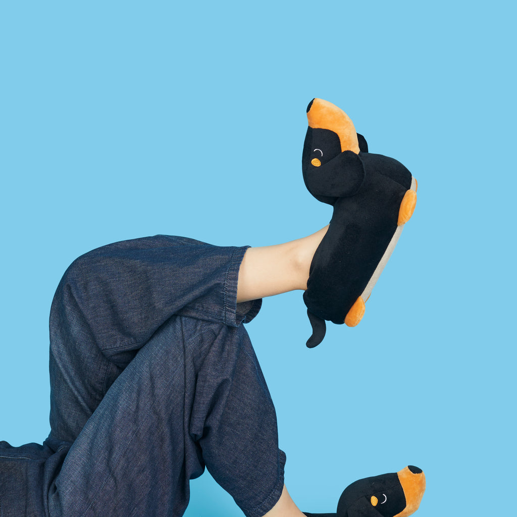 Zapatillas Teckel 36-38