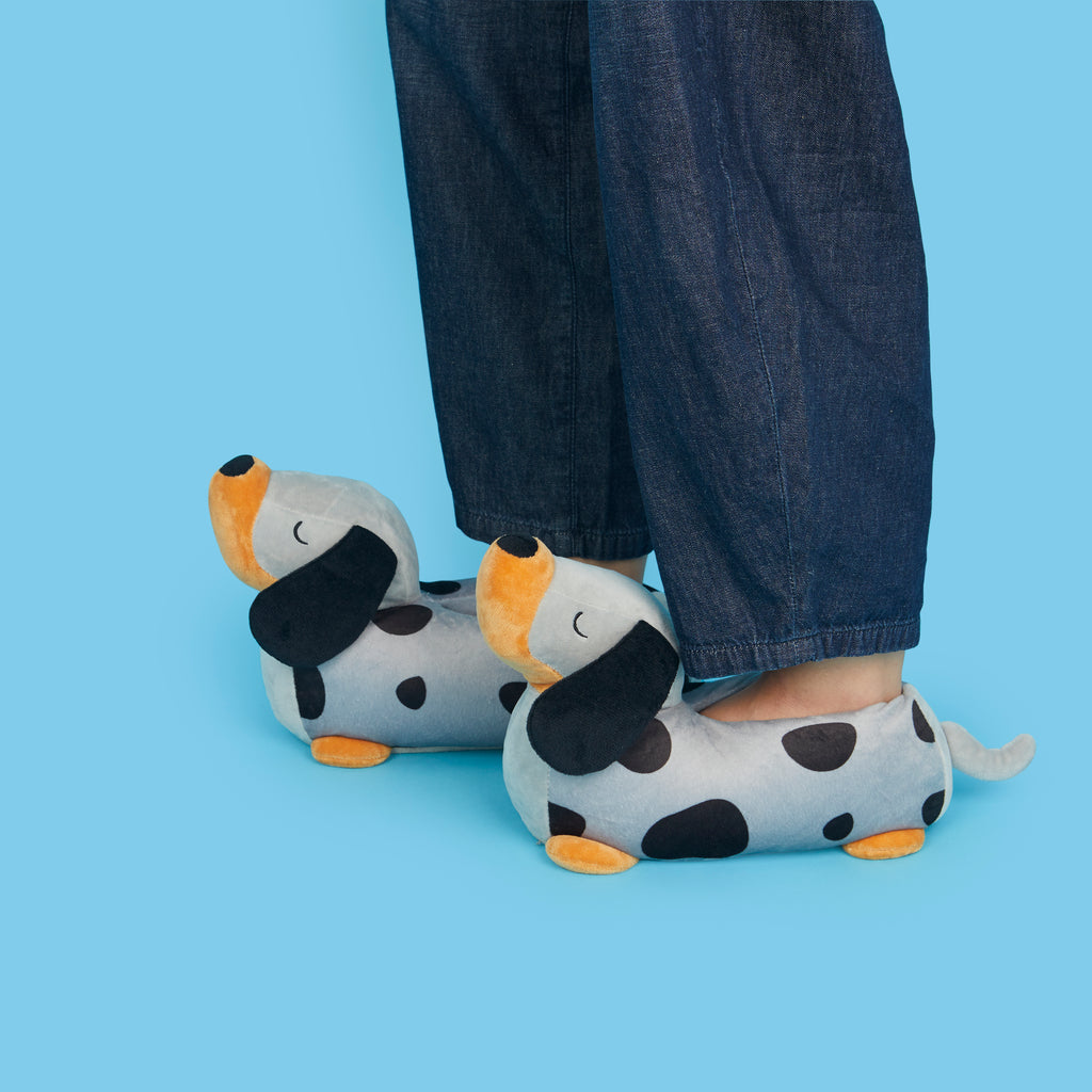 Chaussons Teckel 39-41